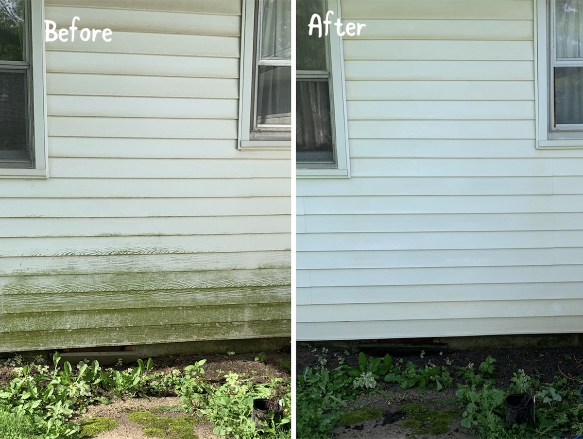 Siding lower wall algae cleaning before and after